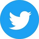 Twitter Social Icon Circle 125