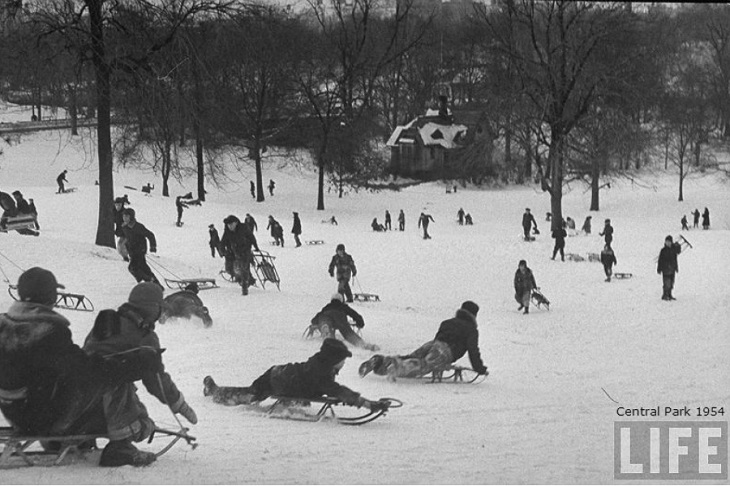 Vintage Winter Picture Sledding in Central Park 1954 LIFE magazine