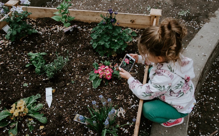 Build-a-Flower-Bed-photo-by-Kelly Sikkema-on-Unsplash