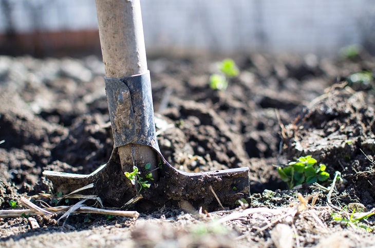 Digging soil in raised bed garden