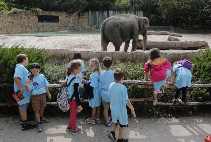 The Fort Worth Zoo is building a new exhibit in partnership with Toyota North America called the Toyota Children’s Ranch and Petting Corral_photo by RODGER MALLISON