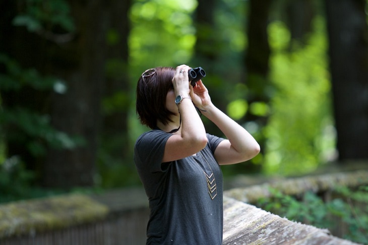 best binoculars for under 100 - uses