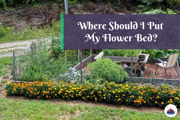 building a flower bed - choose the right location