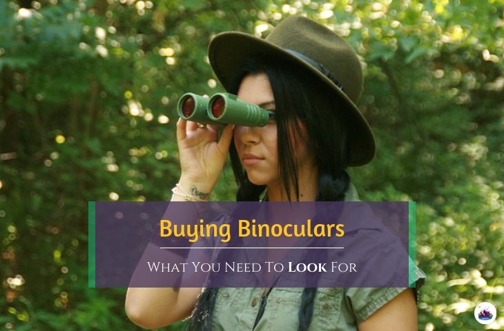 buying binoculars on a budget what to look for