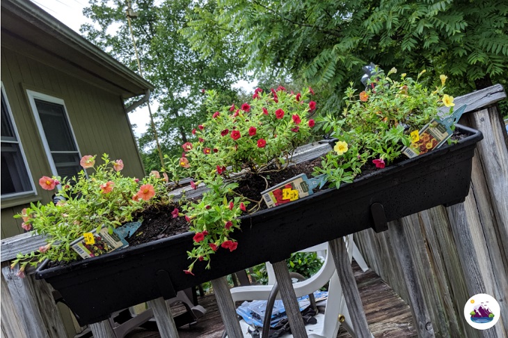 hanging container garden on porch rail with discount flowers