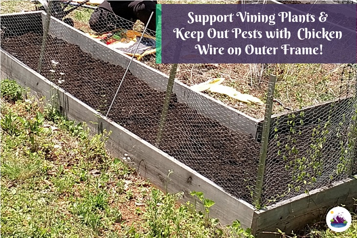 keep pests out of raised garden bed with chicken wire