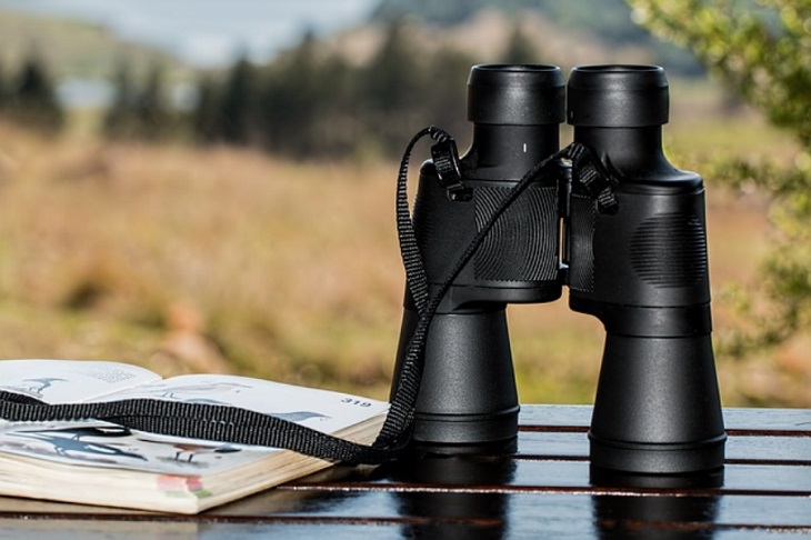 using binoculars for bird watching