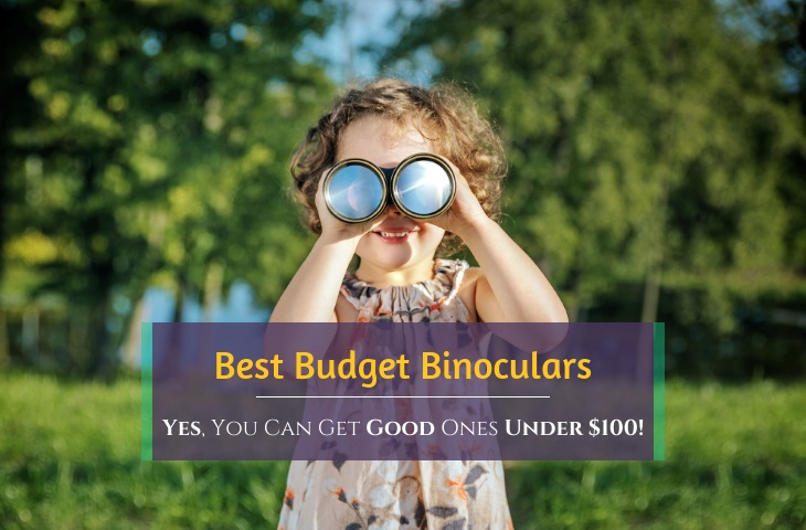 best binoculars under 100 review