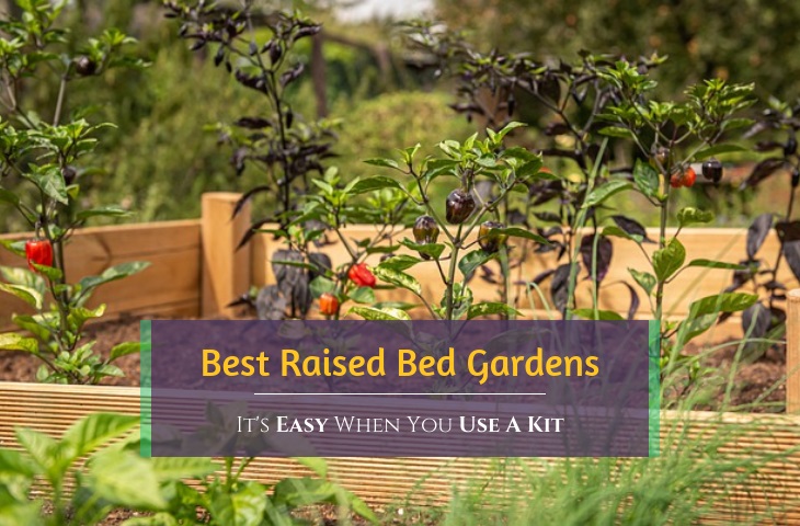 best raised garden bed kit reviews