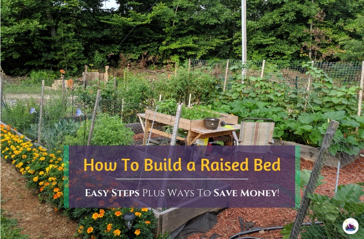 how to build a raised garden bed on a budget