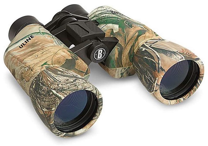 Bushnell PowerView Instafocus Binoculars Review
