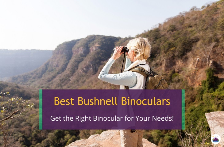 best bushnell binoculars reviews