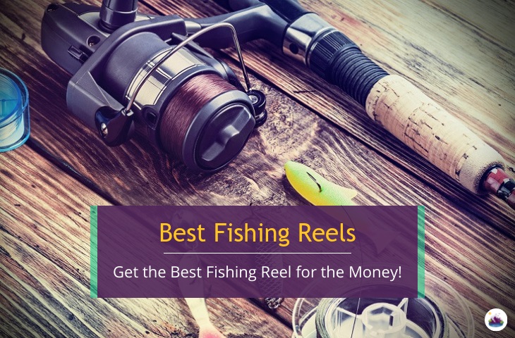 best fishing reels for the money review