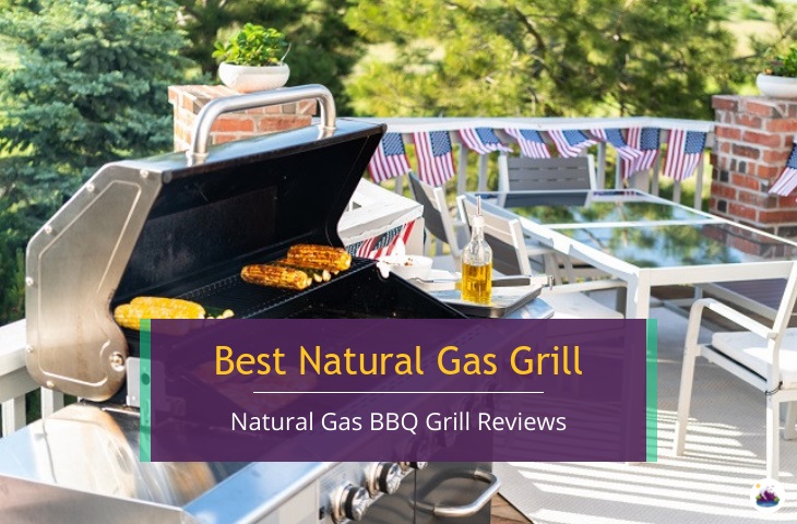 best natural gas grill reviews